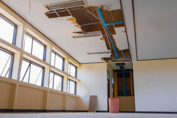 Best Emergency water damage restoration  in Pierz, MN