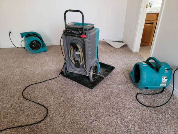 Best Commercial water damage restoration  in Pierz, MN