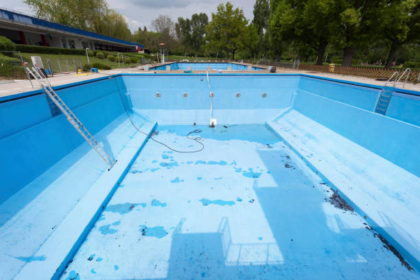 Best Water damage cleanup near me  in Pierz, MN