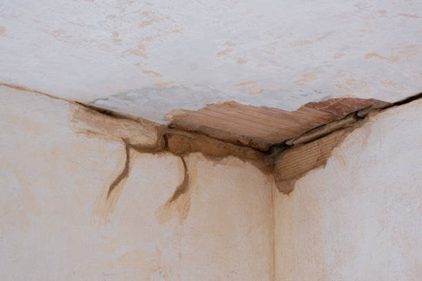 Best Residential water damage restoration  in Pierz, MN