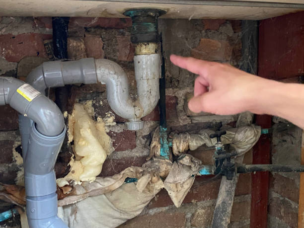 Sewage cleanup and water damage restoration in MN
