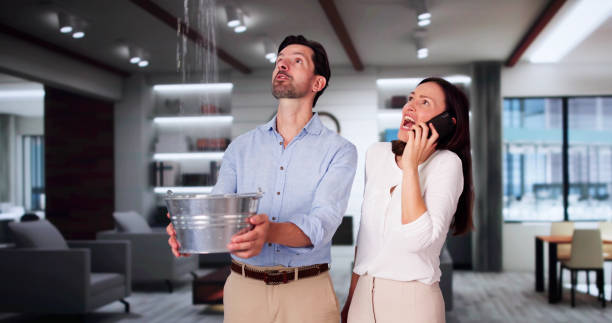 Best Mold removal after water damage  in Pierz, MN